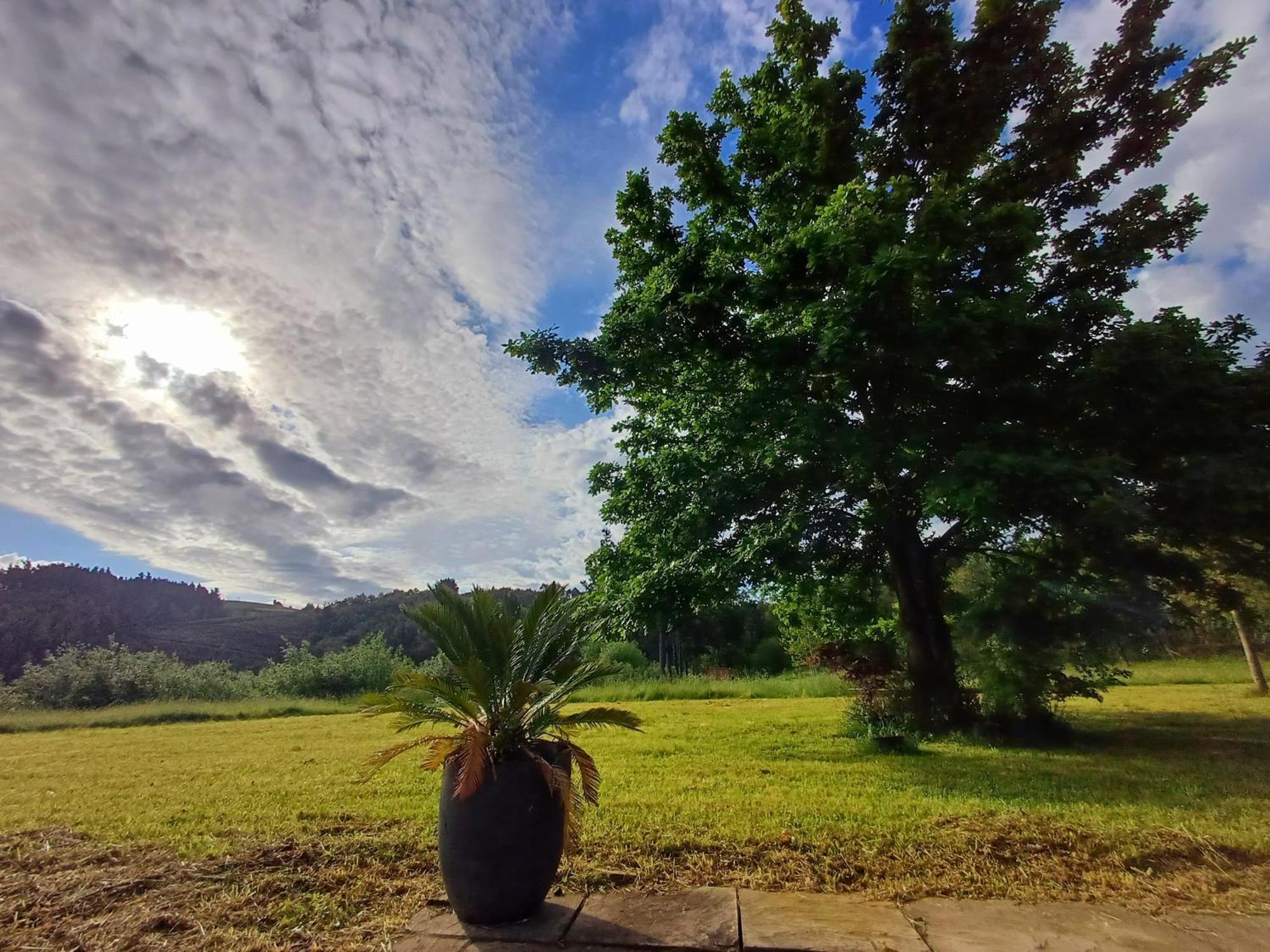 Amplio Apartamento Con Jardin En Casa Rural Haritza Con Vistas Al Mar Ea Exterior foto